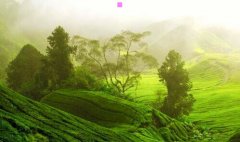 美孚润滑油官方网站-美孚机油官方网站价格表