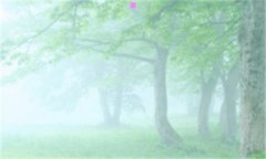 舟山气象网-舟山天气网官网首页